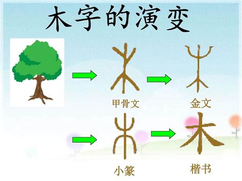 木的部首有哪些字|木字旁的字